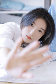 jojo的奇妙冒险第三季